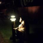 Vartotojas squirrel_bad