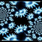 Vartotojas Royal_wings