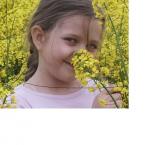 Vartotojas gintarele