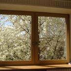 Vartotojas virdzinija