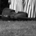 Vartotojas inthythms