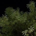 Vartotojas monikutexxx