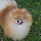 Vartotojas Monikea123