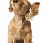 Vartotojas neringa22