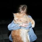 Vartotojas eatmeforbreakfast