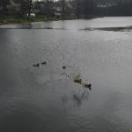 Vartotojas viltesmama1