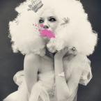 Vartotojas gintaremeskinyte