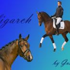 Vartotojas Lina12352