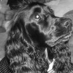 Vartotojas princese25