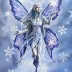 Vartotojas LedineFeja