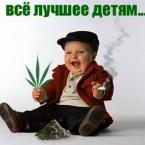 Vartotojas nitriukas