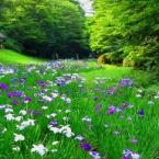 Vartotojas Gabiukas=)