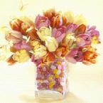 Vartotojas Laurituke