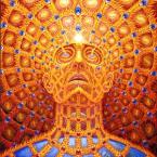 Vartotojas raganukraujo