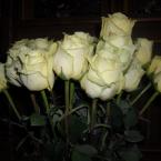 Vartotojas liudeliuxxx