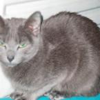 Vartotojas neatsimenu