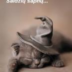 Vartotojas matrioska