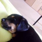 Vartotojas jolantakav