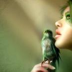 Vartotojas Vaiduliokas