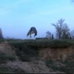 Vartotojas 5AIL3NTA5