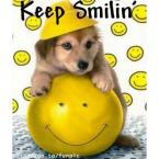 Vartotojas Smailiukas