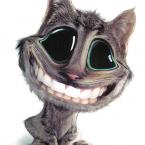 Vartotojas broliukaz