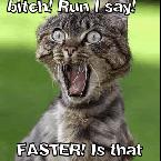 Vartotojas grazvis1993