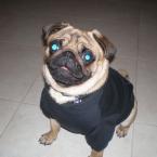 Vartotojas gretukasz2