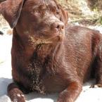 Vartotojas otiliukass