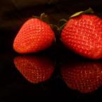 Vartotojas dianute-a