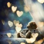 Vartotojas vaididuke