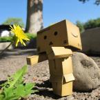 Vartotojas cocorosiee