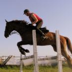 Vartotojas VėjaiGalvoje