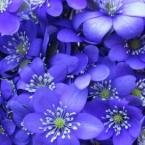 Vartotojas Gabrielaaa