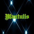 Vartotojas mantuliss