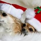 Vartotojas : ) Smile : ) 