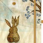 Vartotojas summernight