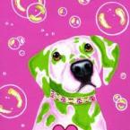 Vartotojas Augustux555