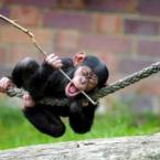 Vartotojas dovilytukas