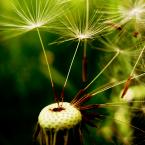 Vartotojas xsuliukasx