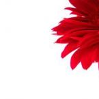 Vartotojas Laurynute