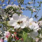 Vartotojas Ieškanti