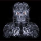 Vartotojas svytassss