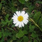 Vartotojas 2 klaidos