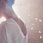 Vartotojas Boružiukas.~