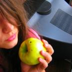 Vartotojas salamandra