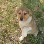 Vartotojas Vanesa777