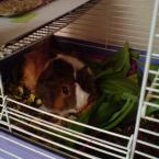 Vartotojas aniutka20