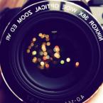 Vartotojas finsdetex