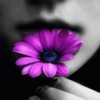 Vartotojas Papuoškimia kasdienybę